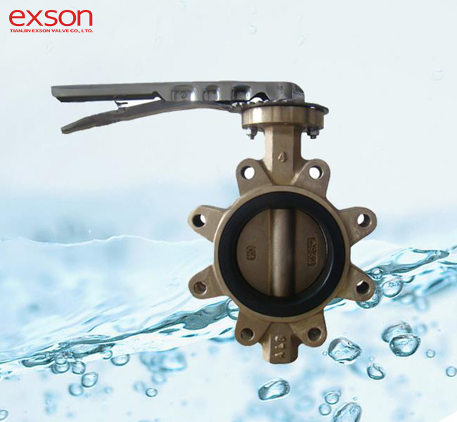 C95500 Butterfly Valve
